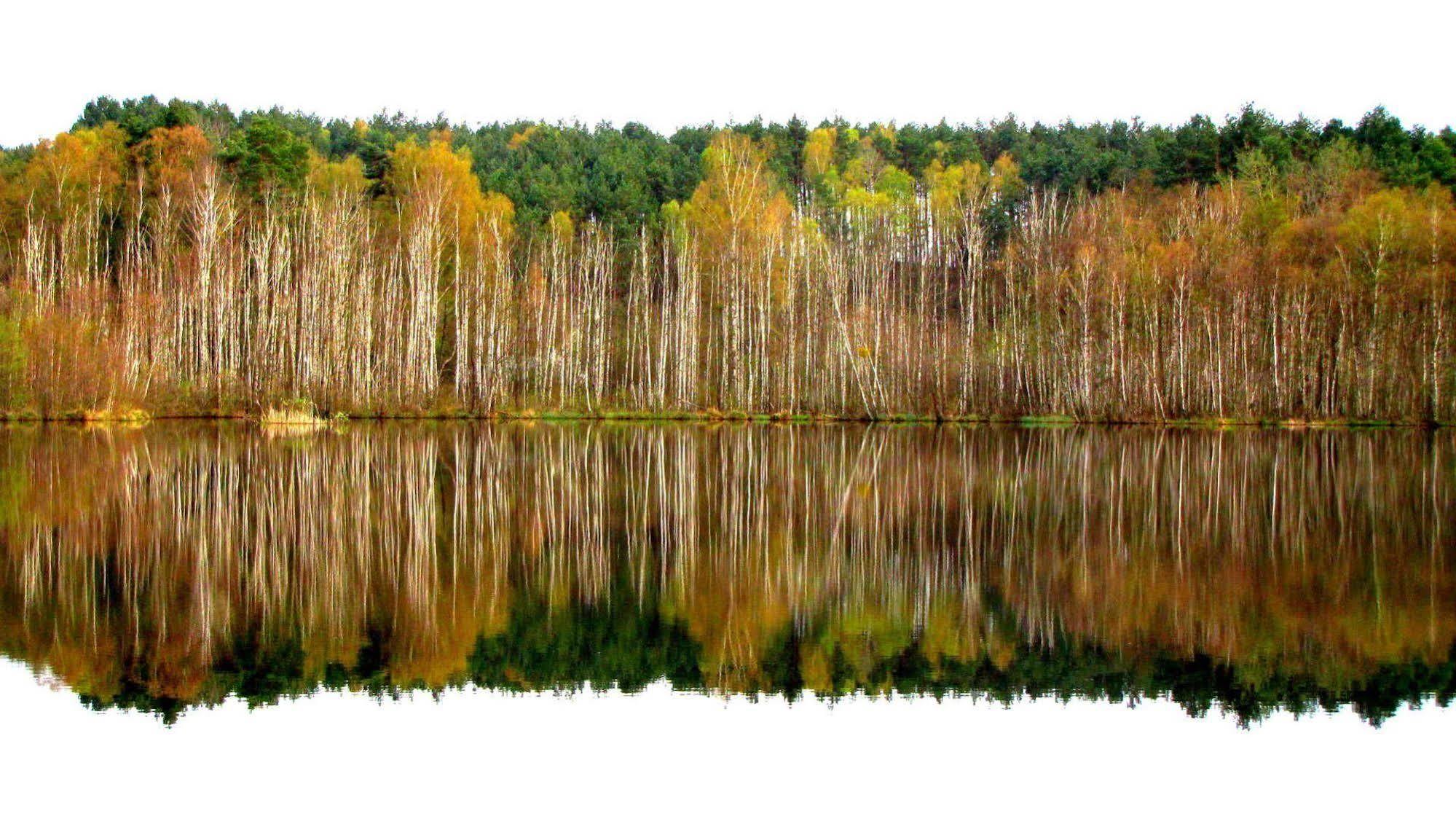 Rezydencja Nad Jeziorem Pestkownica Екстер'єр фото